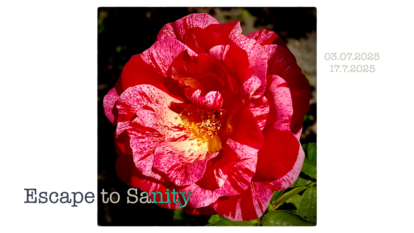 iAntonio Media Episodes 102, 103 - Escape to Sanity, Rose in her Revolt
